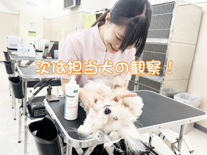 血液検査と健康チェック！